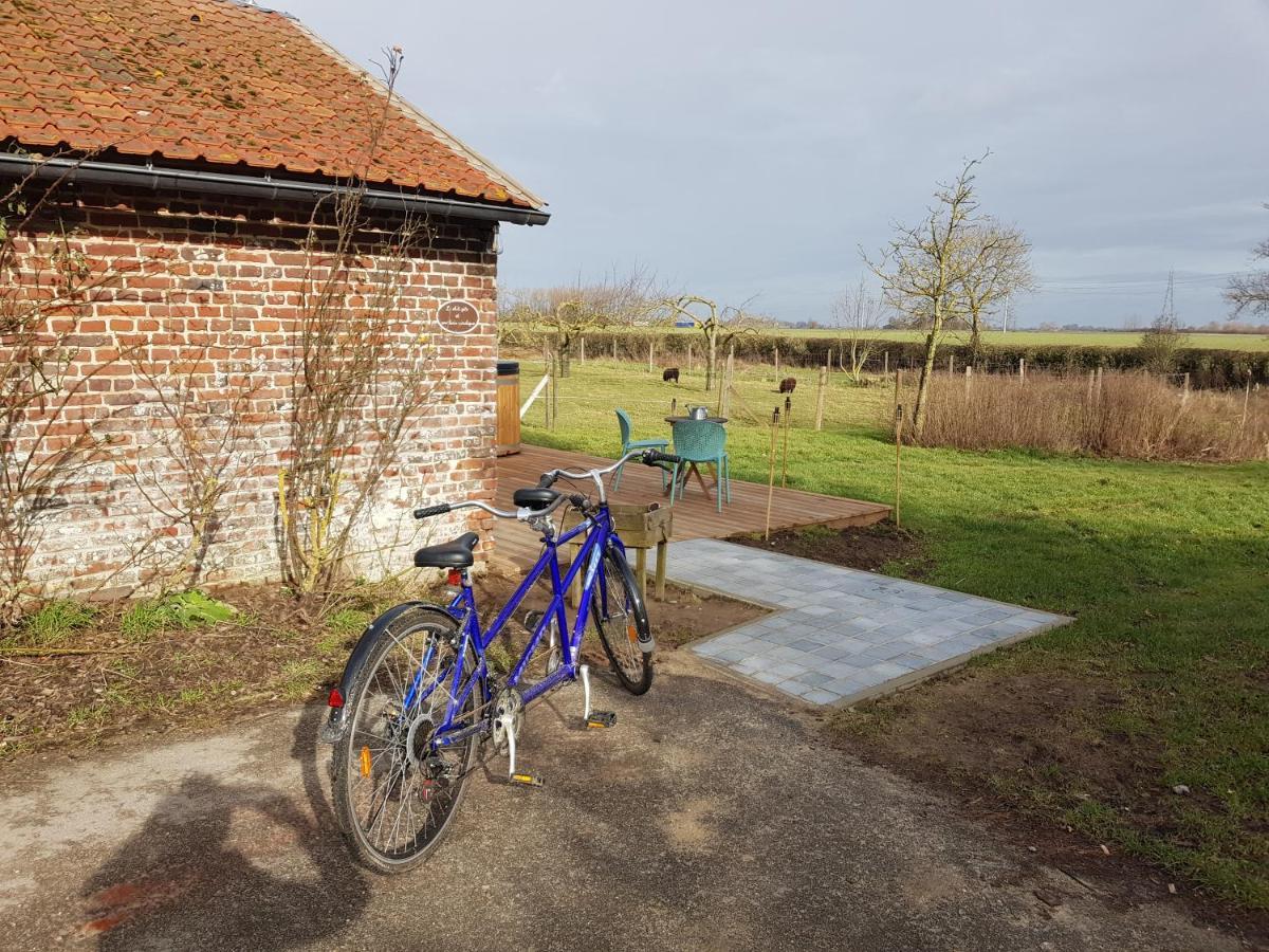 Le Gite "Des Voyageurs" Wormhout Exterior foto